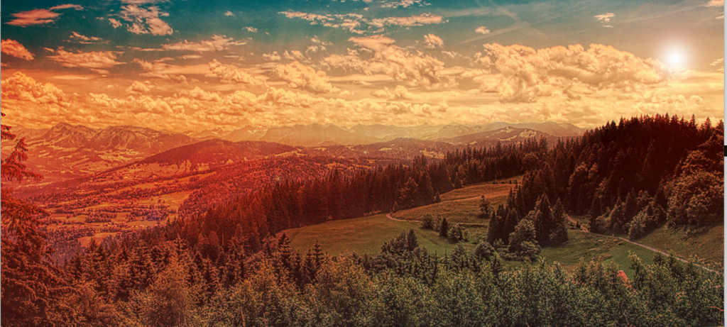 benjamin besnard psychologue blois parcours2